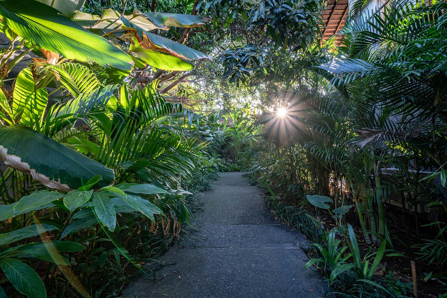 7 bedrooms, villa amita, retreat villa bali, canggu group villa, 7 bedrooms villa canggu, yoga villa bali, bali retreat villa, group villa bali, exlusive villa bali, canggu villa, villa canggu, amita villa